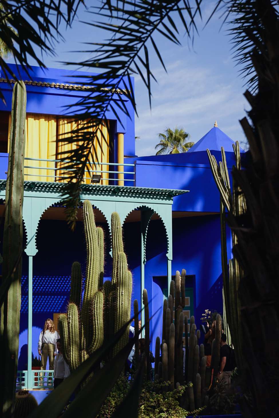 Vibrant blue architecture with cacti