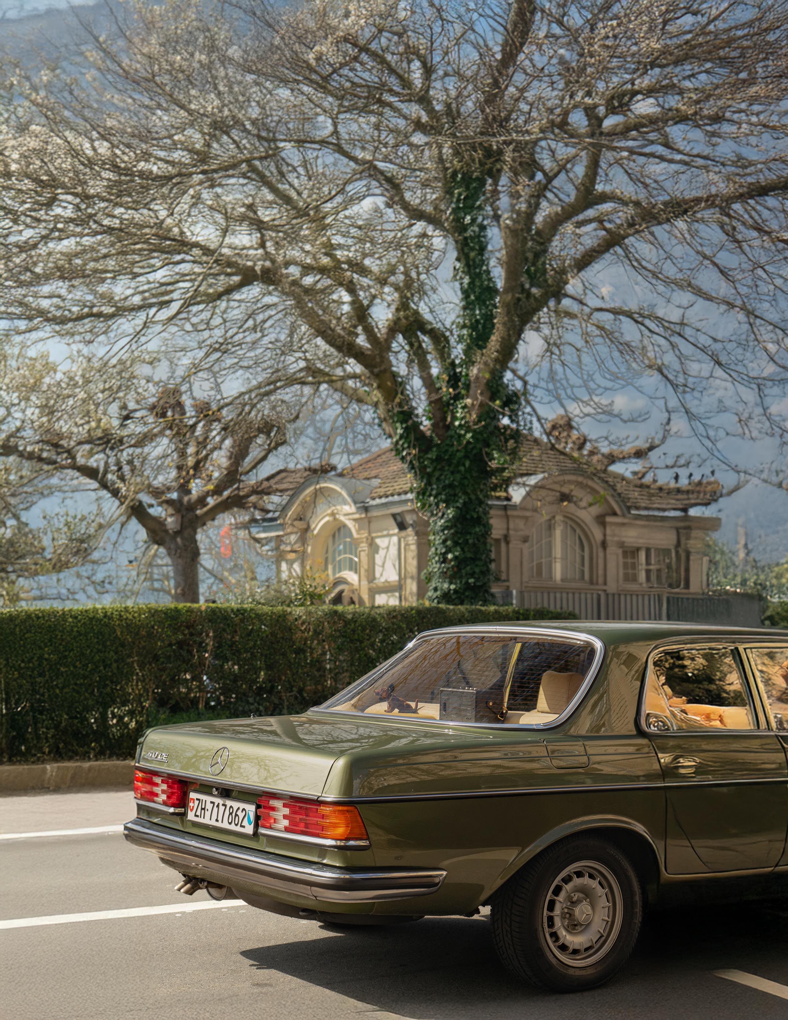 Vintage Mercedes-Benz automotive photography
